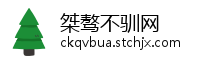 桀骜不驯网